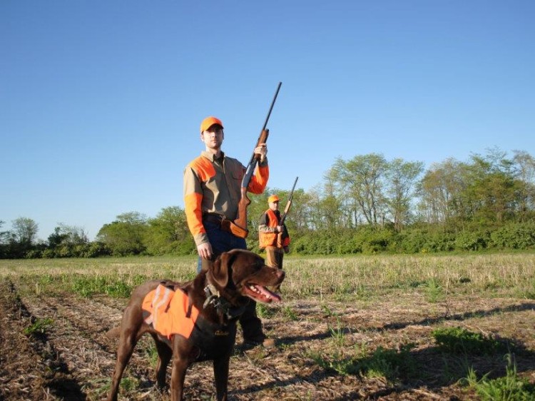 Biodrowy wspornik na broń Peregrine Quick-Shot-118856