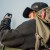 Ultradźwiękowy odstraszacz na kleszcze Off-Tick Human Dark Green-230650
