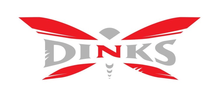 Ekskluzywna kolekcjonerska płyta Mini CD zespołu DinkS - tytuł: >i<-230662
