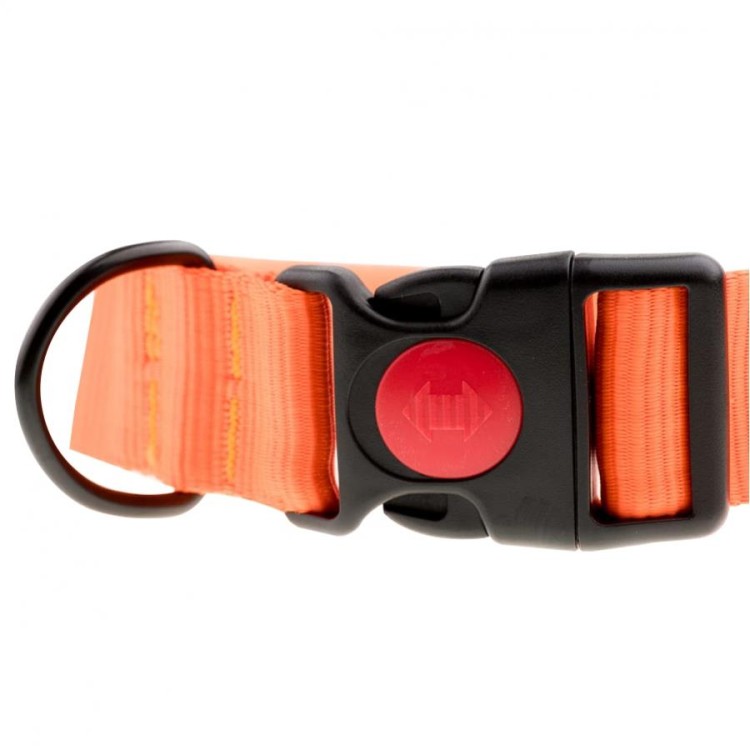 Obroża dla psa 4wild 40 mm 39-61 cm neonowa pomarańczowa-231659