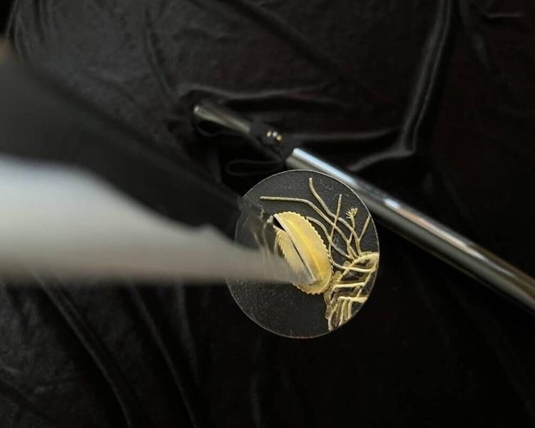 Profesjonalny Miecz treningowy Katana 6KN1-390 ostry-233486