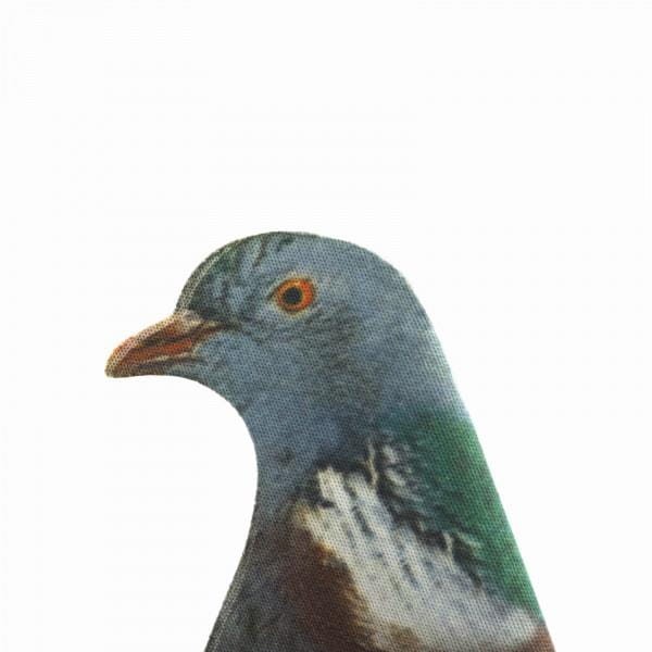 Muszla Grzywacza z pianki EVA wabik myśliwski na grzywacze-234071