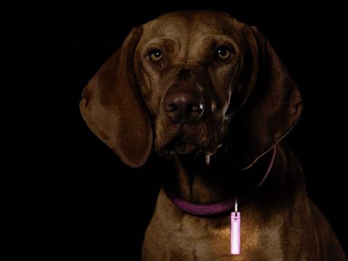 Brelok, marker odblaskowy bez baterii GearAid Ni-Glo Sour Lemon 91504 UV-235239