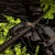 miecz-samurajski-katana-r359_34519.webp