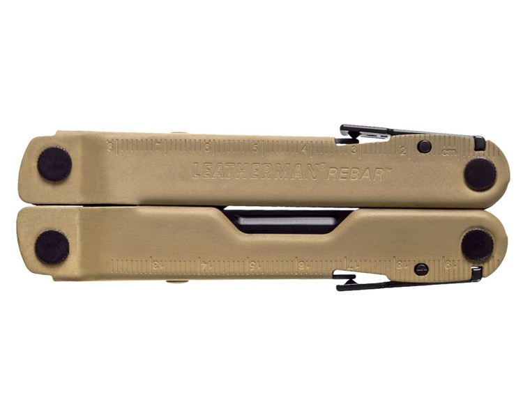 rebar coyote 2.jpg