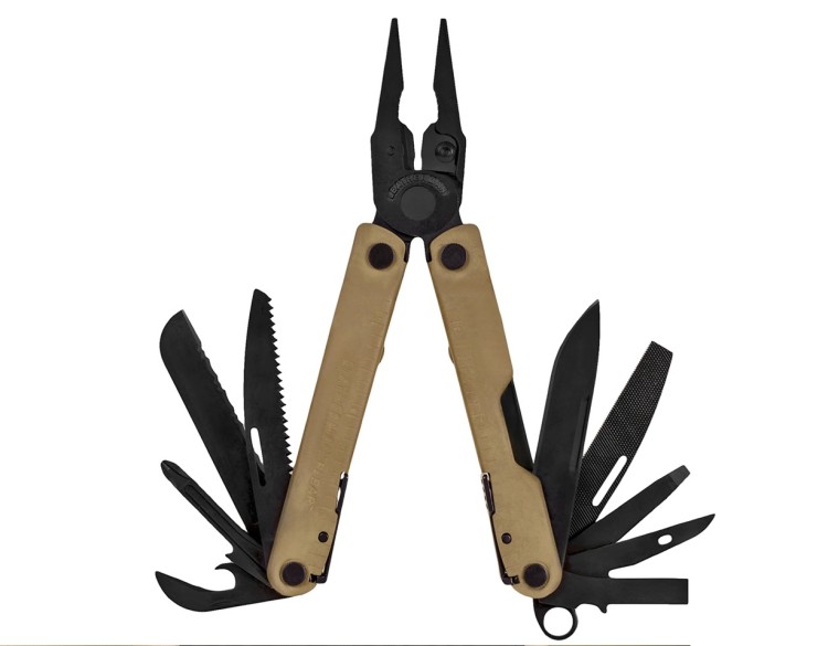 rebar coyote.jpg