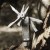 Multitool EDC NexTool Pocket Tool E1 10w1 NE20287A-237969