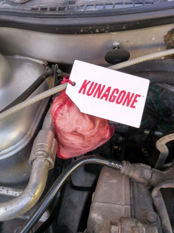 Kunagone na kuny 1-pak Odstraszacz kun i dzikich z-238870