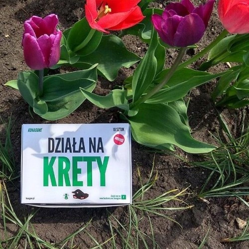 Kunagone na krety 2-pak Odstraszacz kretów i dziki-238873