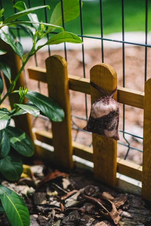 Kunagone na dziki 10-pak Odstraszacz dzików i dzik-238881