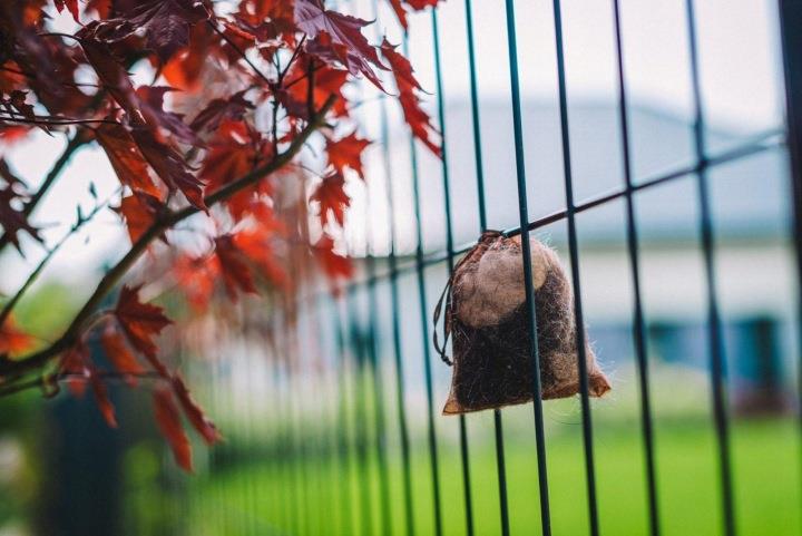 Kunagone na dziki 2-pak Odstraszacz dzików i dziki-238880