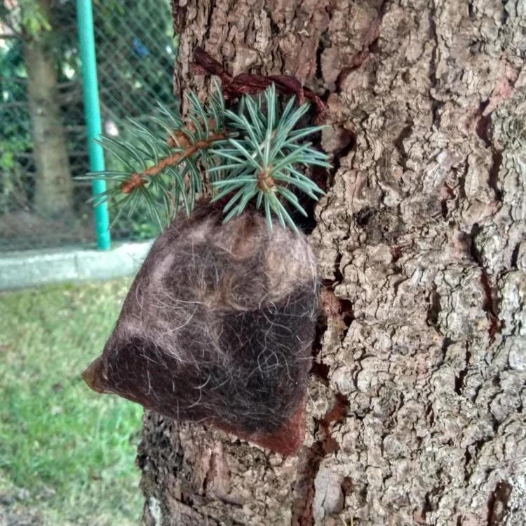 Kunagone na dziki 2-pak Odstraszacz dzików i dziki-238885