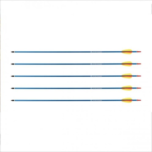 Strzała Poe Lang z aluminium 30" 5 sztuk, grot tar-238907