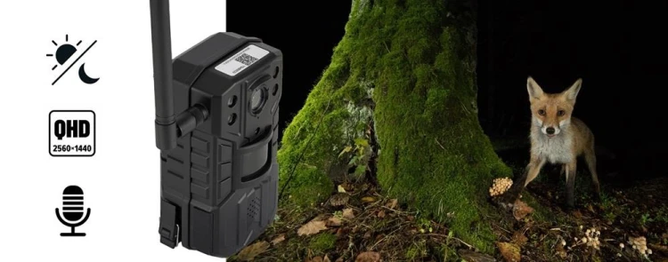 Fotopułapka noktowizyjna Redleaf RD6300 LTE kamera-231824