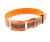 Obroża wodoodporna odblaskowa 4wild 25 mm 38-52 cm-232768