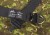Pas Taktyczny Helikon AustriAlpin Cobra FX45-211042