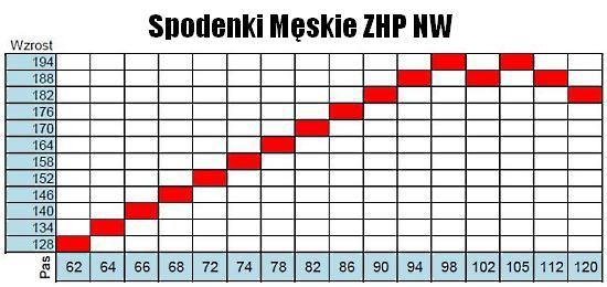 Krótkie spodenki mundurowe ZHP męskie (nowy wzór)-217478