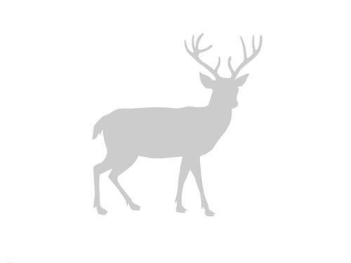 Odblaskowa srebrna naklejka myśliwska na samochód -220016