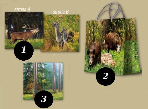 Torba prezentowa myśliwska na prezent S, 210x200x6-223714