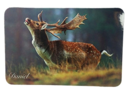 Myśliwski magnes na lodówkę - Daniel-223721