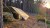 Bushmen EASY Tarp 3x3m green do lasu płachta biwak-239193