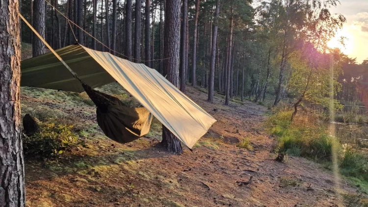 Bushmen EASY Tarp 3x3m green do lasu płachta biwak-239193
