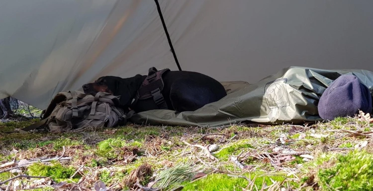 Thermo Blanket Bushmen podpinka hamakowa bivy cover-225601