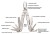 Multitool Leatherman Bond 832936-227347
