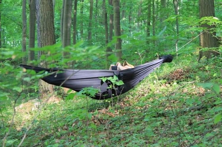 Wytrzymały hamak Niedźwiedź Tigerwood zielony-220622